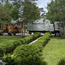 ArborCare Tree Management