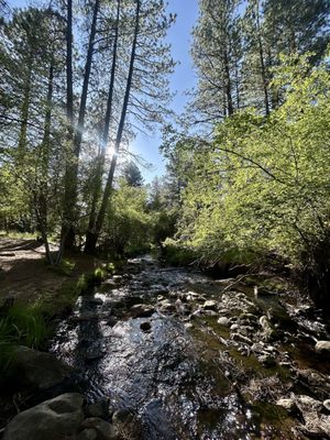 Pine Valley Recreation Area by null