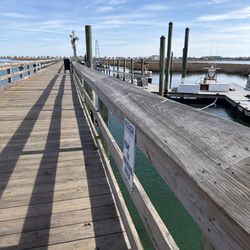 The Marshwalk