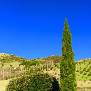 Poderi Crisci - Beer, Wine & Spirits Near Me - Waiheke Island, AUK