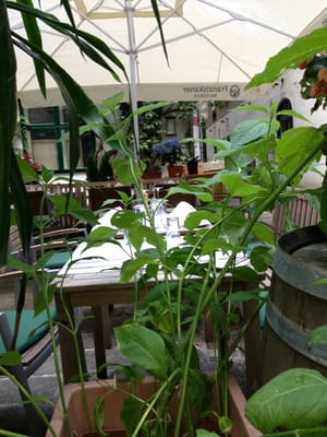 ef16 Restaurant Weinbar by null