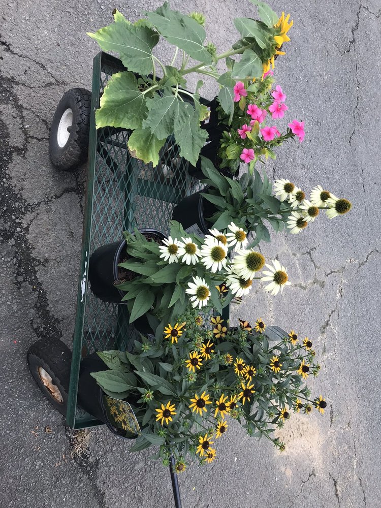 MEADOWS FARMS NURSERIES ROUTE 7 Updated August 2024 31 Photos