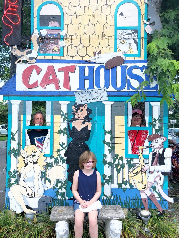 SMOKY MOUNTAIN CAT HOUSE 29 Photos & 32 Reviews Pet Stores 3327