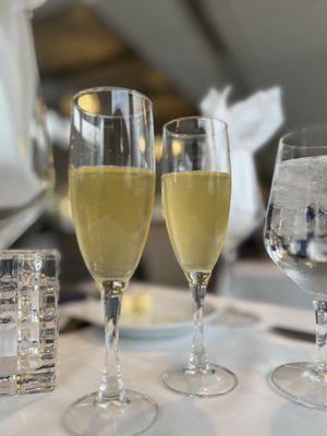 City Cruises by null