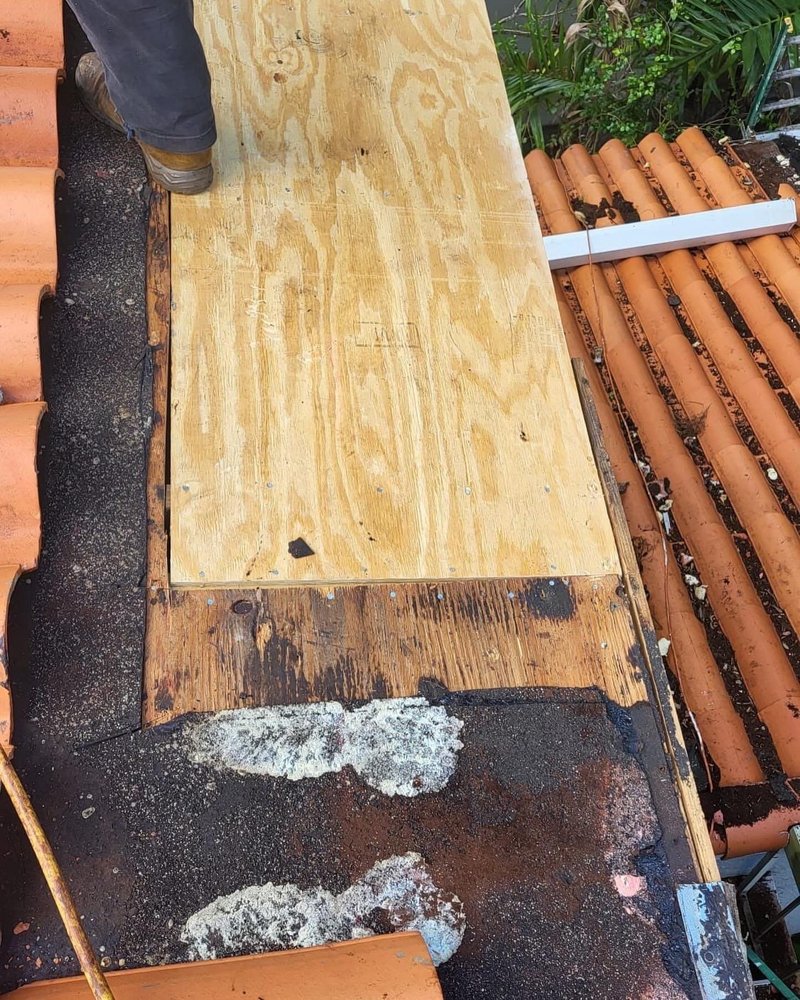 Slide of Tomas Roofer