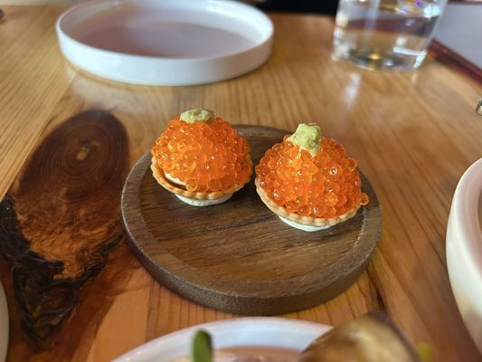 Anelya by null Anelya by null