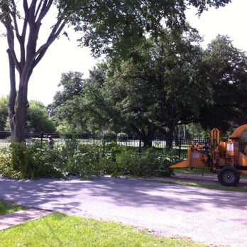 William Tree Service - Tree Services Near Me - Houston, Texas William Tree Service - Tree Services Near Me - Houston, Texas