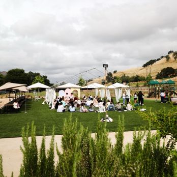 Clayton Valley Farms - Open space holding a little over 50 Pilates mats - Kids Activities Near Me - Clayton, California