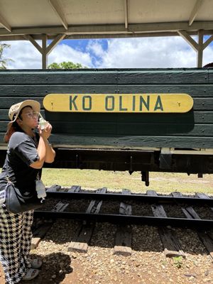 Hawaiian Railway Society by null