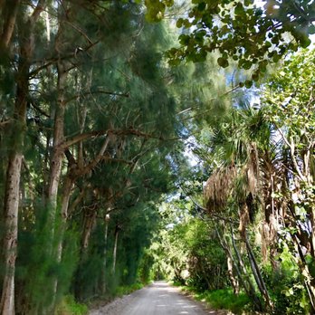 The Historic Jungle Trail - Hiking Near Me - Orchid, Florida The Historic Jungle Trail - Hiking Near Me - Orchid, Florida