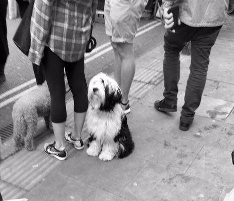 Broadway Market by null