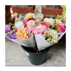 Wild Muse Flowers