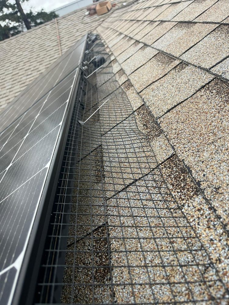 Slide of Hire Mikey's