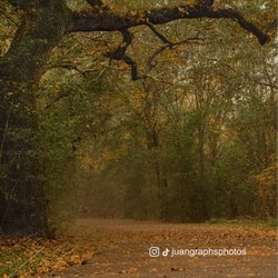 Groeschke Hike And Bike Trail - Groechke Hike and Bike Trail.