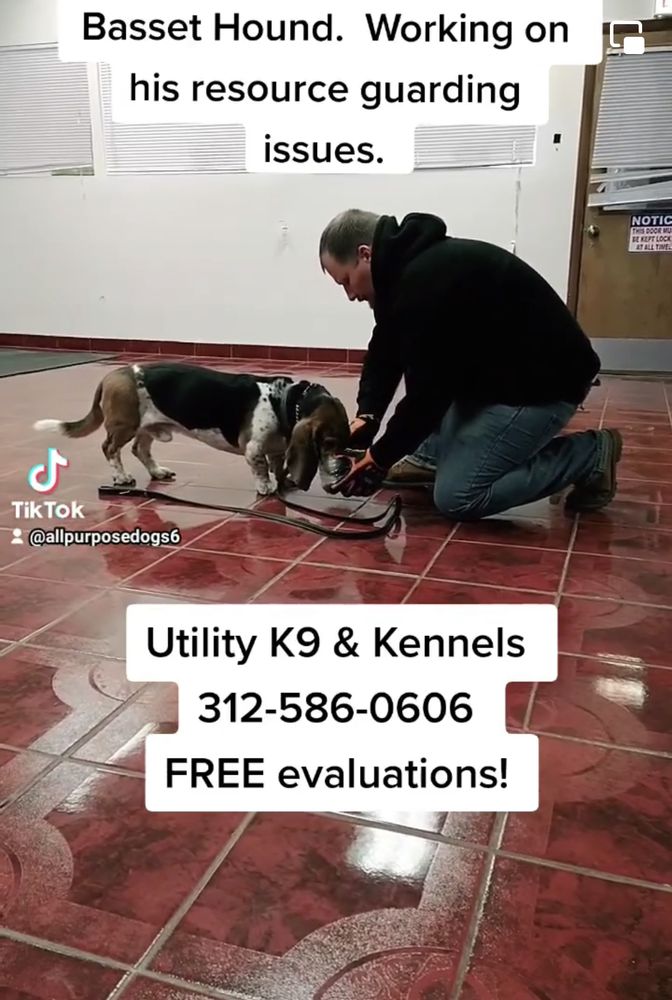 UTILITY K9 & KENNELS Chicago, IL Yelp