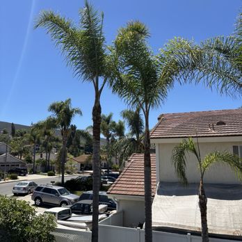 Active Landscape And Tree Service - Tree Services Near Me