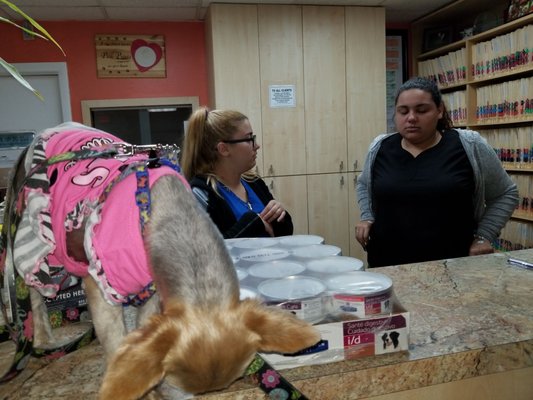 mueller's animal hospital