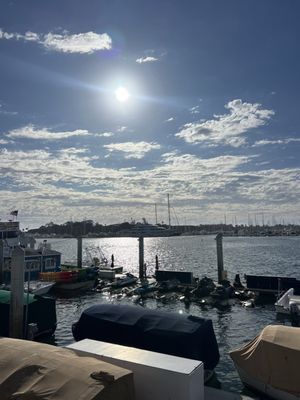 Fisherman's Village by null