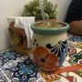 Triana's Mexican Snacks