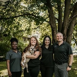 Chiropractic Solutions