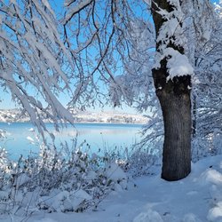 Forggensee