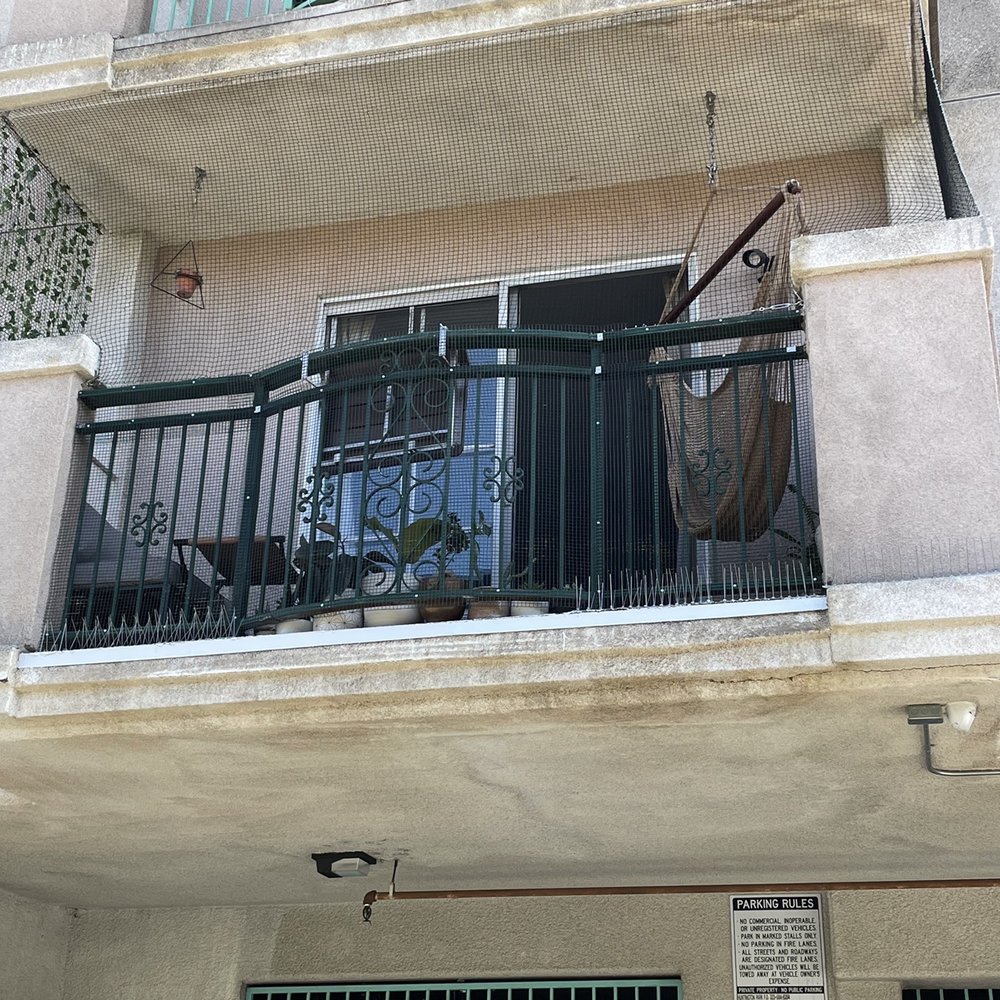 Advanced Wildlife Removal - Balcony - Pest Control Near Me