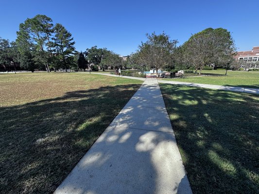 Landis Green by null