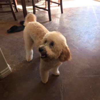 PetSmart - Pet Stores Near Me - Oxnard, California PetSmart - Pet Stores Near Me - Oxnard, California