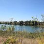 Delta Meadows State Park