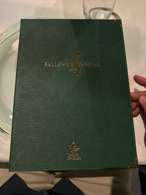 Hotel Bellevue Syrene by null