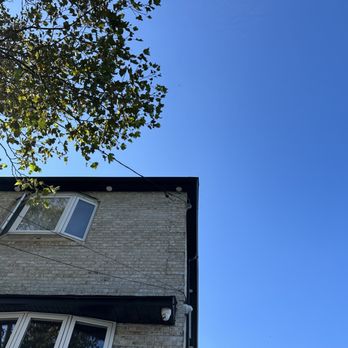 AL's 1 Extermination - Bees top roof service - Pest Control Near Me - Brooklyn, New York