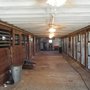 Photo of Pegasus Woof & Purr Kennel