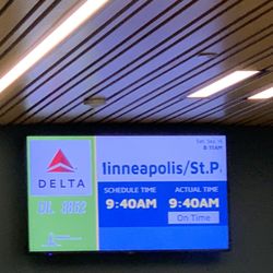 Delta Airlines - Trip