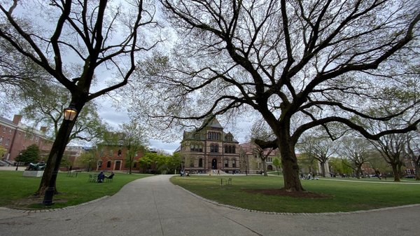 Brown University by null