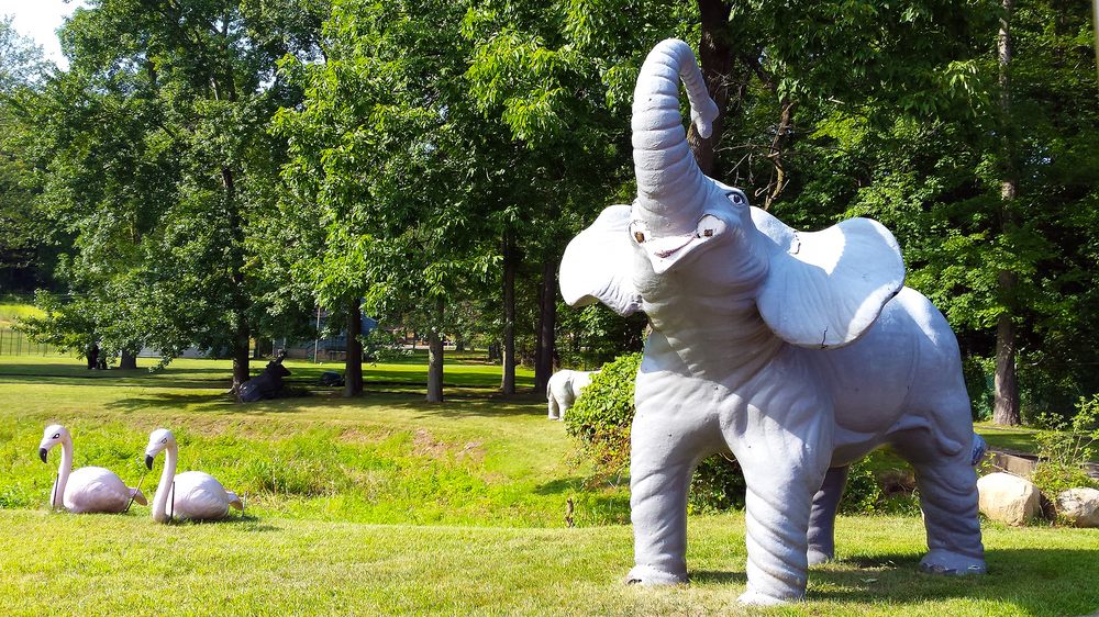 BOWCRAFT CLOSED 33 Photos & 55 Reviews 2545 Rte 22 W, Scotch