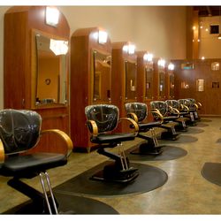 The Wordy Bird Salon - Salon