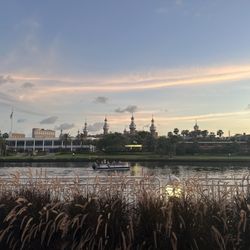 University of Tampa in Tampa gift card