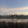 University of Tampa gift card