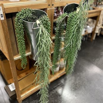 World Market - Plan B when you find out You Don't have a Green Thumb! - Furniture Stores Near Me - Lakewood, California