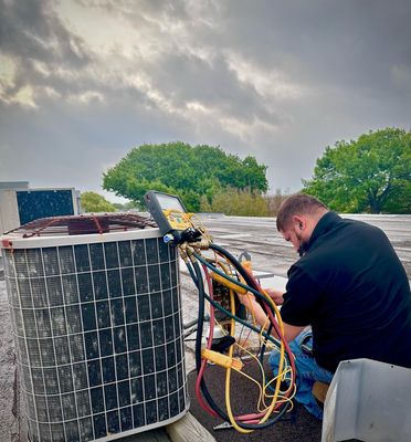 Professional Expert Services