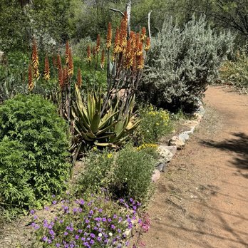 Boyce Thompson Arboretum - Botanical Gardens Near Me - Superior, Arizona Boyce Thompson Arboretum - Botanical Gardens Near Me - Superior, Arizona