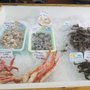 Photo of Juns Fresh Seafood