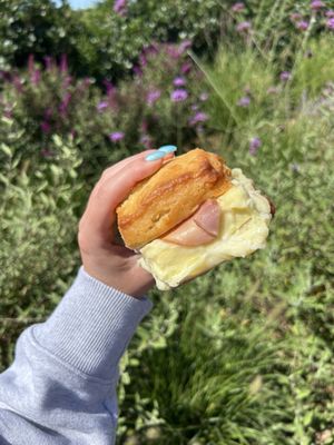 Sagaponack General Store by null