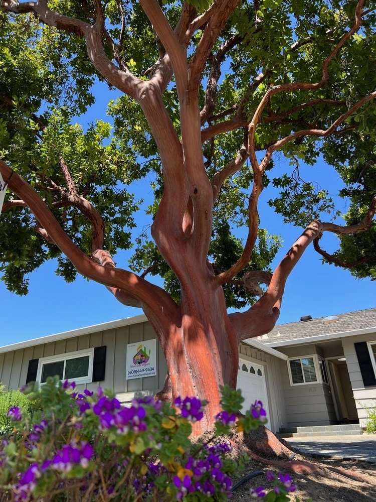 Future Stars Daycare - childcare center in San Jose, CA