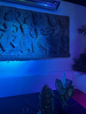 Indochine by null