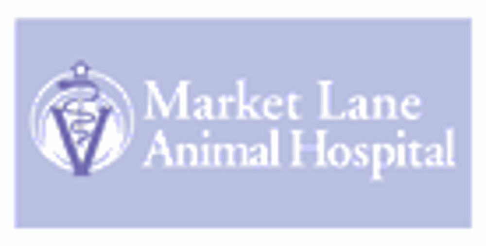 MARKET LANE ANIMAL HOSPITAL Updated September 2024 140 Woodbridge