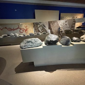 Otago Museum - Museums Near Me - Dunedin, OTA