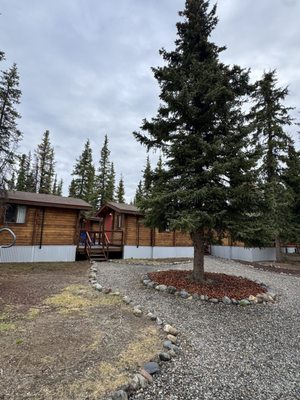 Denali Cabins - Denali National Park by null