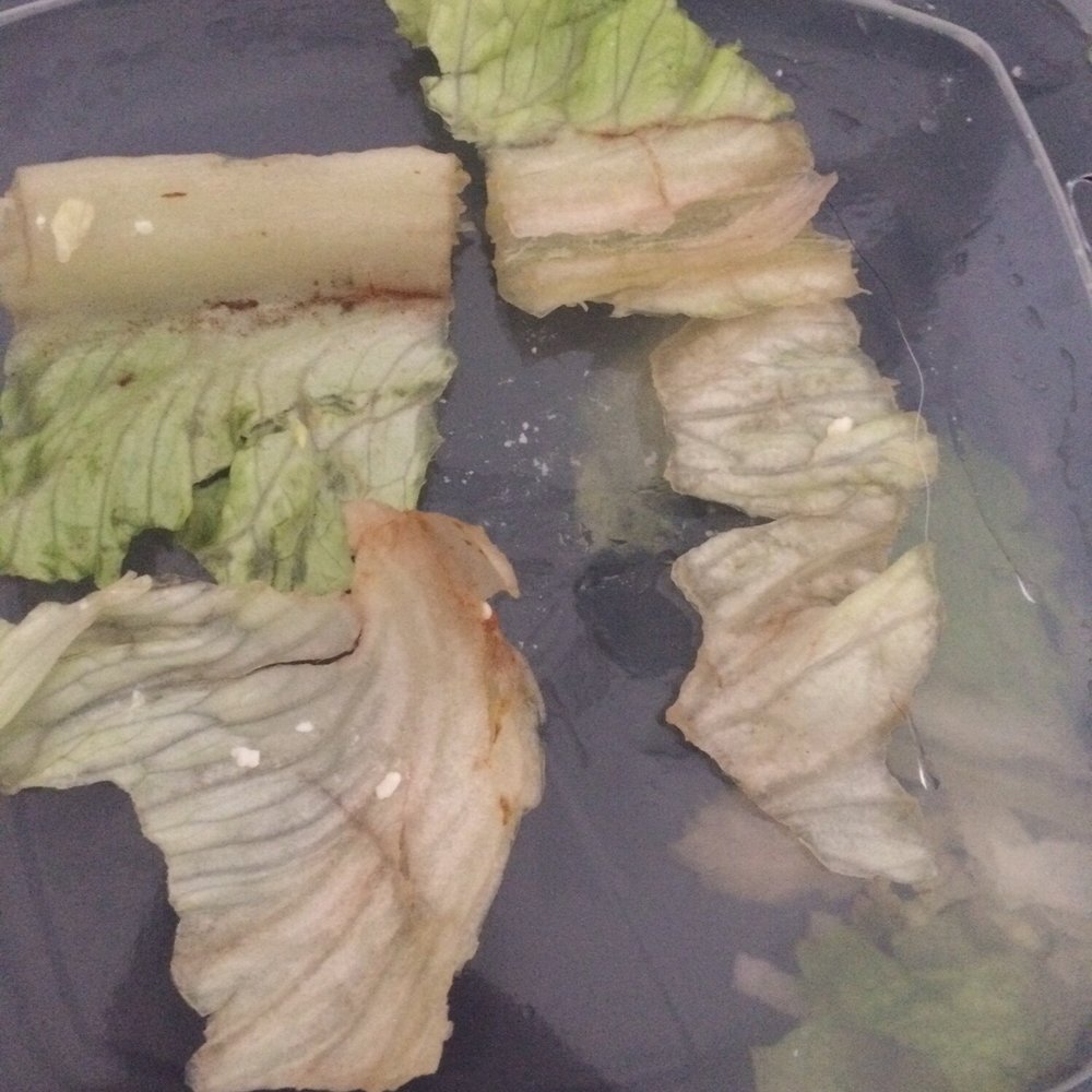 Marco's Pizza - lettuce and cheese in a container - Pizza Near Me - Port Charlotte, Florida Marco's Pizza - lettuce and cheese in a container - Pizza Near Me - Port Charlotte, Florida