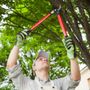 Photo of JC Tree Care